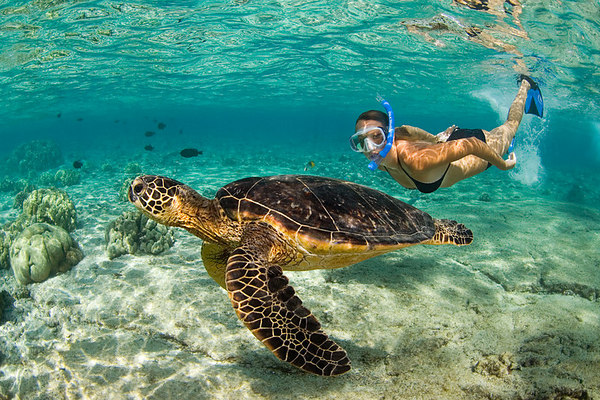 DIA 2 - ISLA CULEBRA